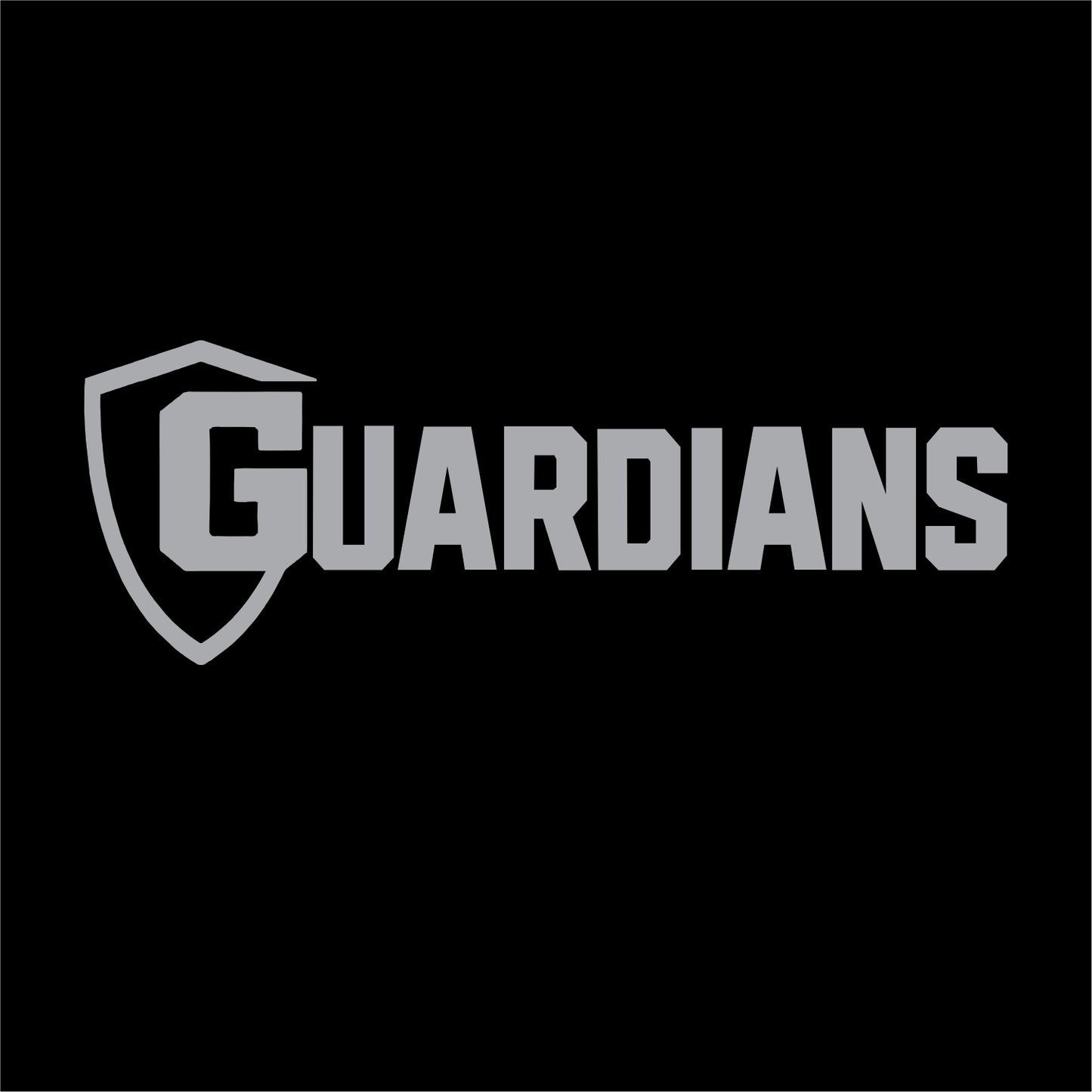 BNGSA Guardians Ladies Long Sleeve Fan Favorite V-Neck Tee