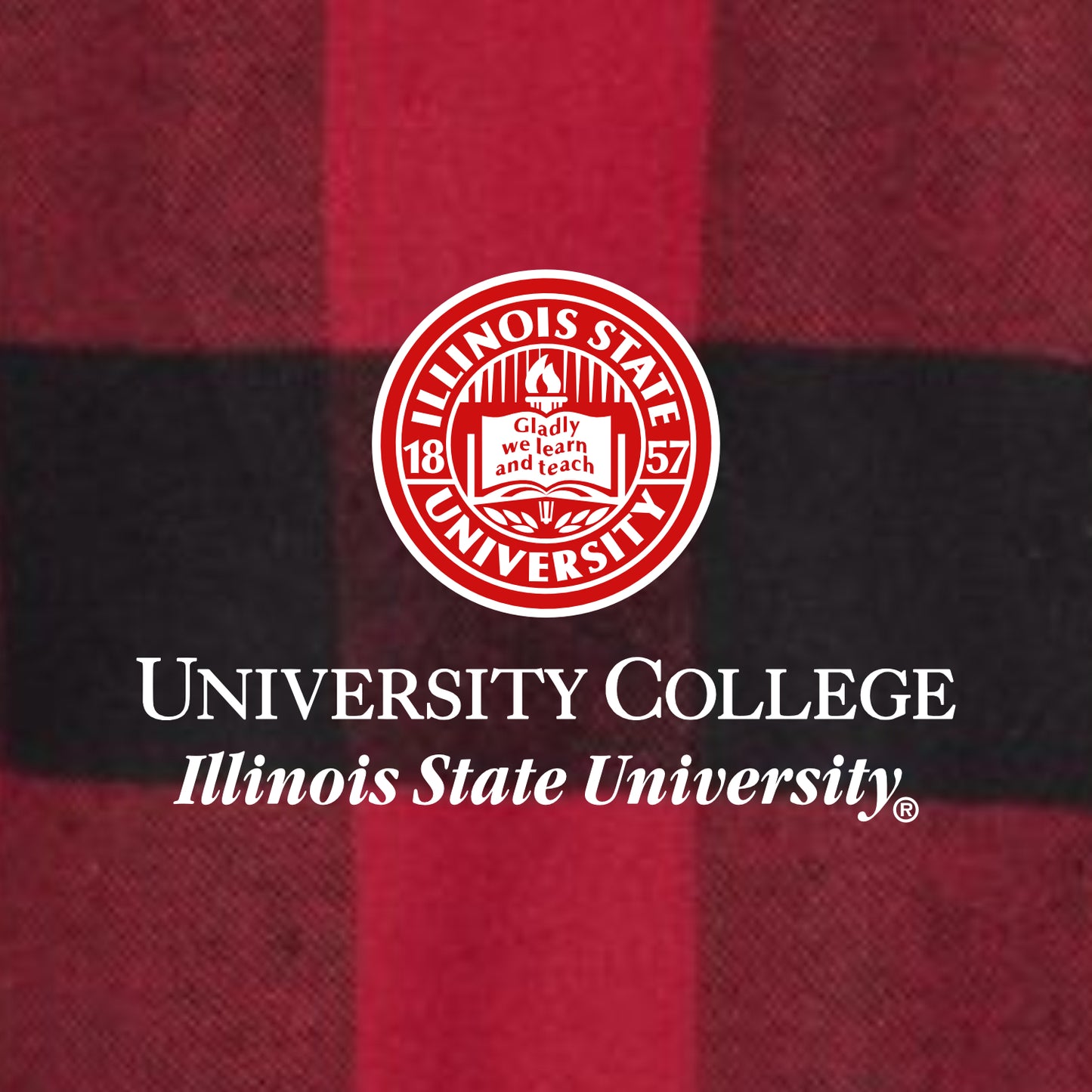 University College Long Sleeve Plaid Flannel Shirt