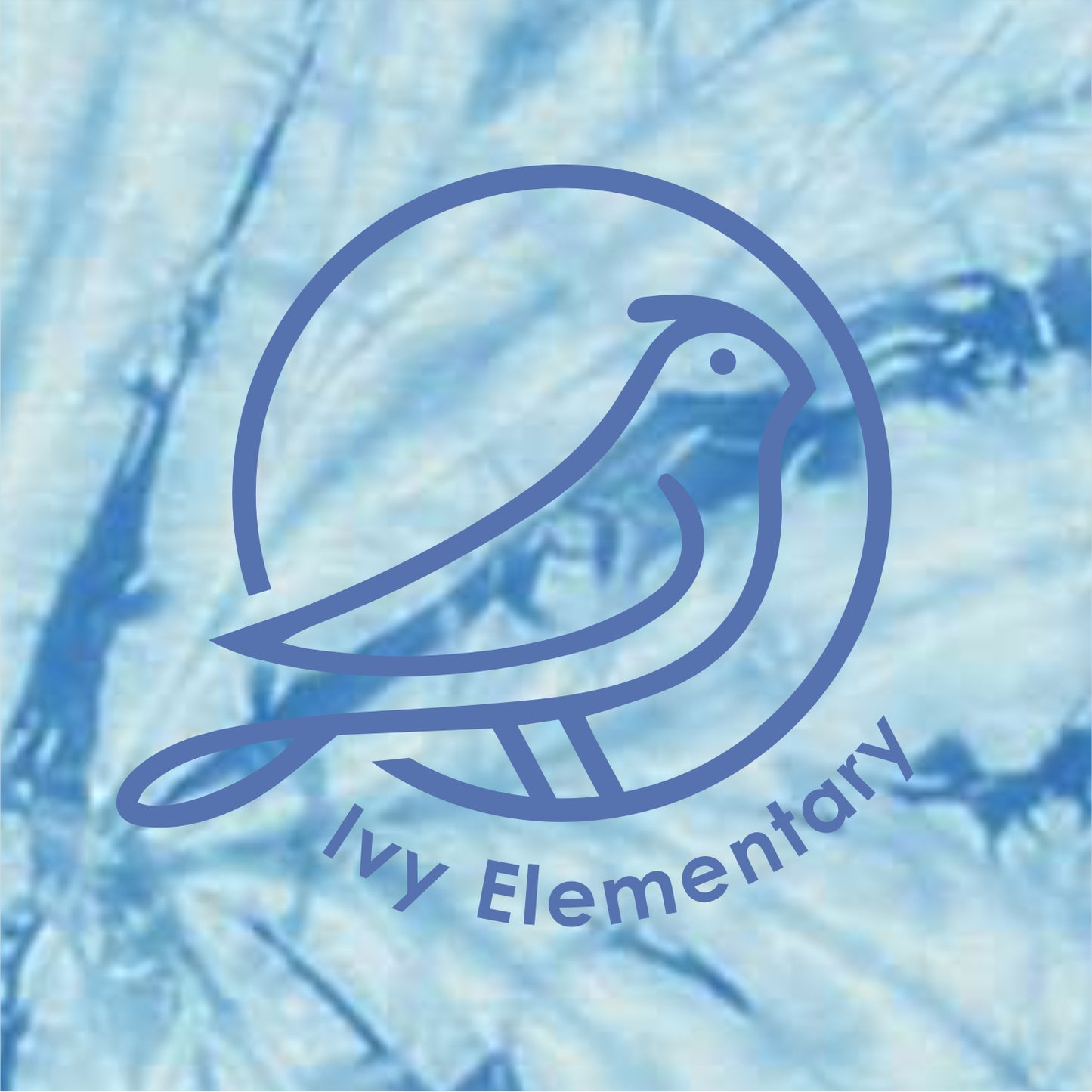Ivy Elementary Tie-Dye T-shirt - Des. B