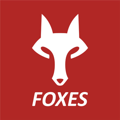 Kerr Elementary Girls/Ladies Pulse Shorts