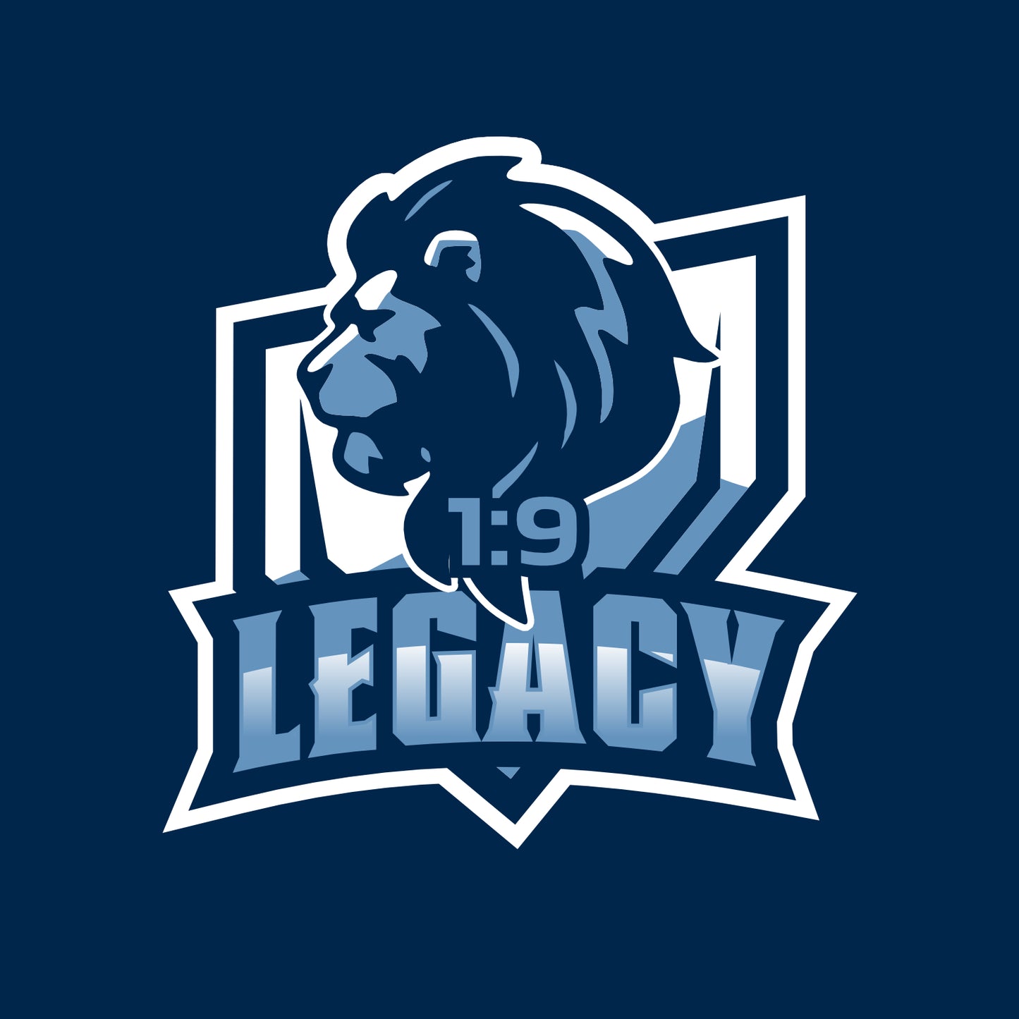 1:9 Legacy Agility Mesh Pocket Cinch
