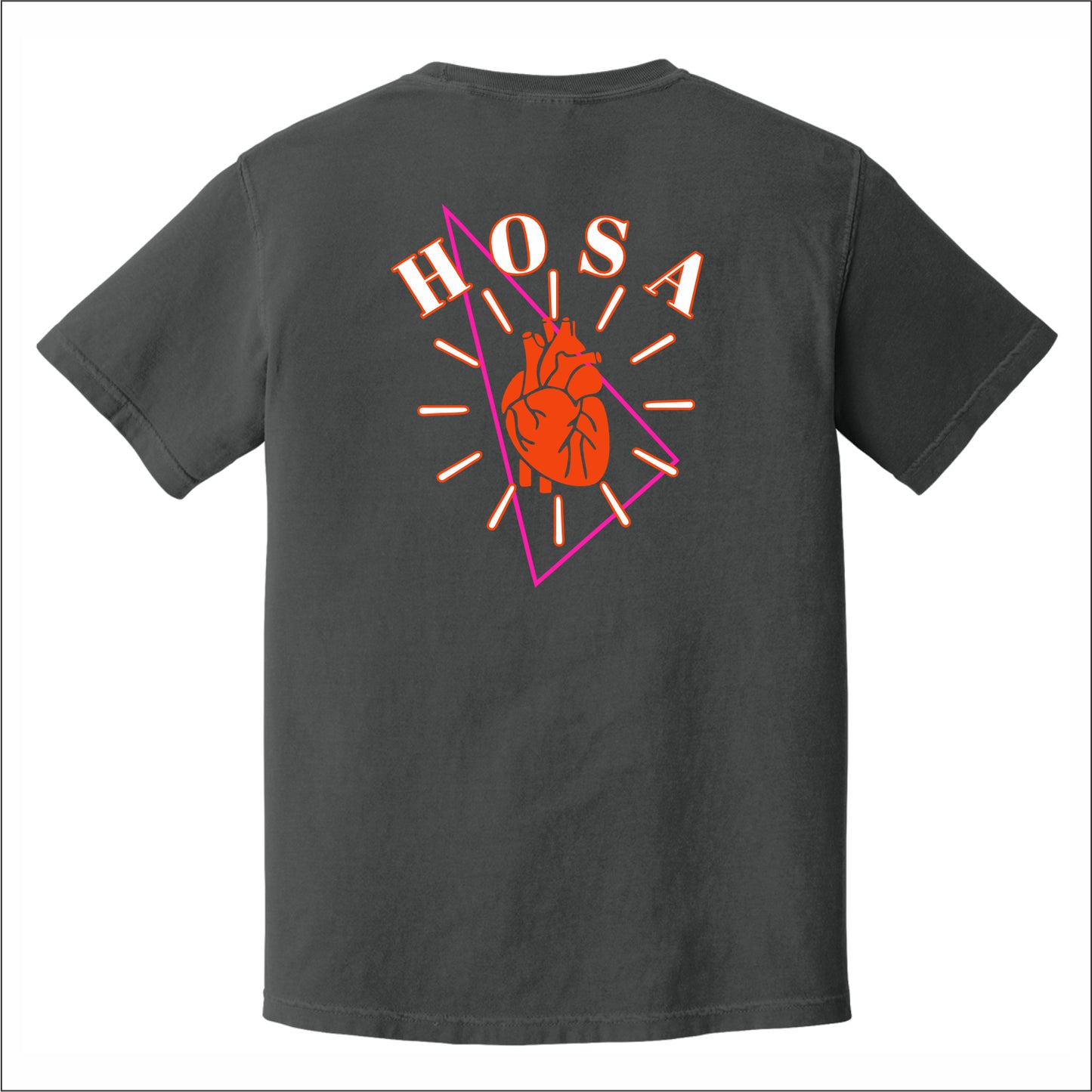 MCHS Biomedical Science Comfort Colors T-shirt - Des. B