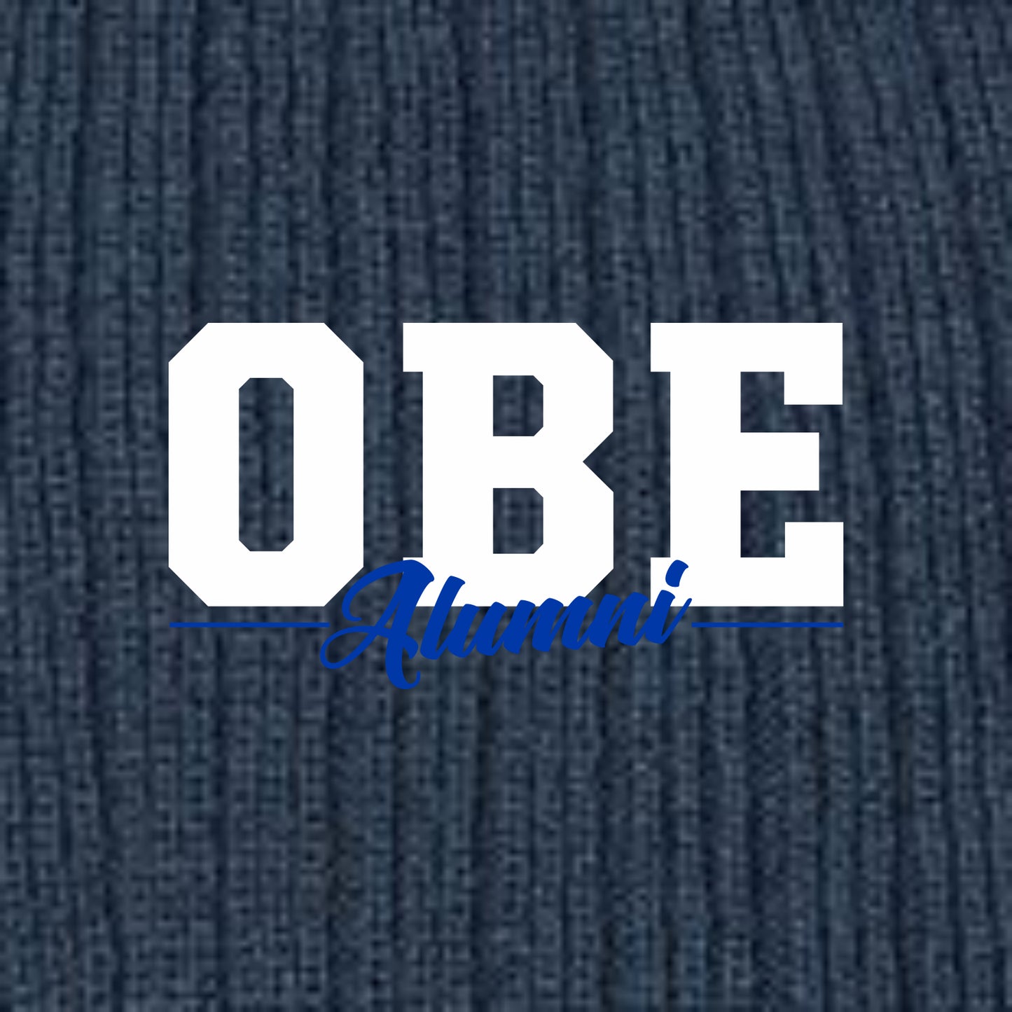 OBE Alumni Sustainable Rib Knit Stocking Cap