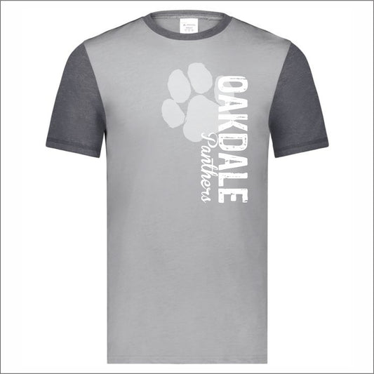 Oakdale Elementary Gameday Vintage Ringer Tee