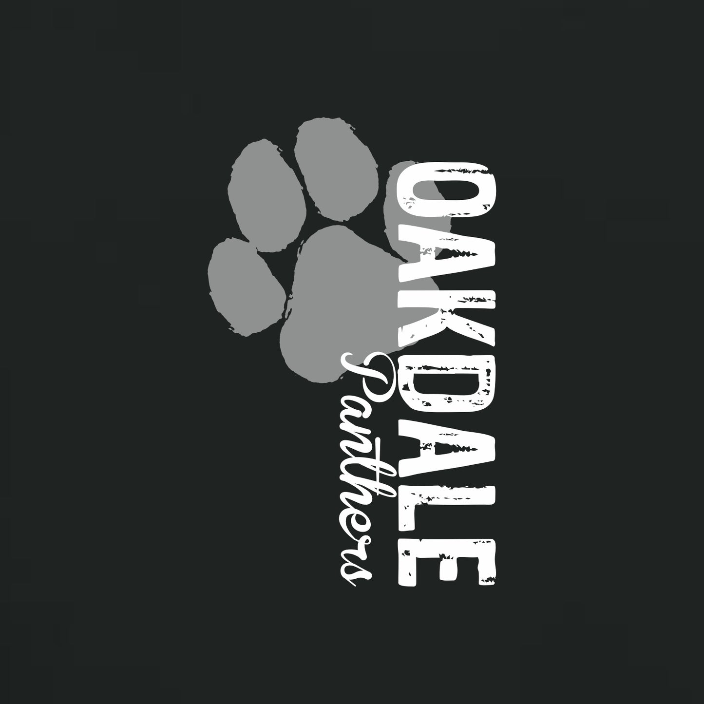 Oakdale Elementary Performance Shorts