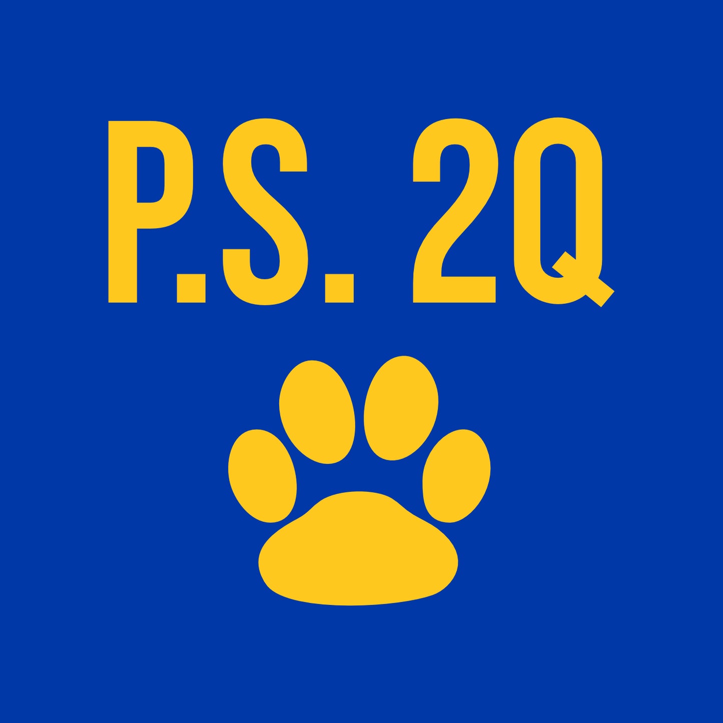 PS2Q Spiritwear Knit Beanie