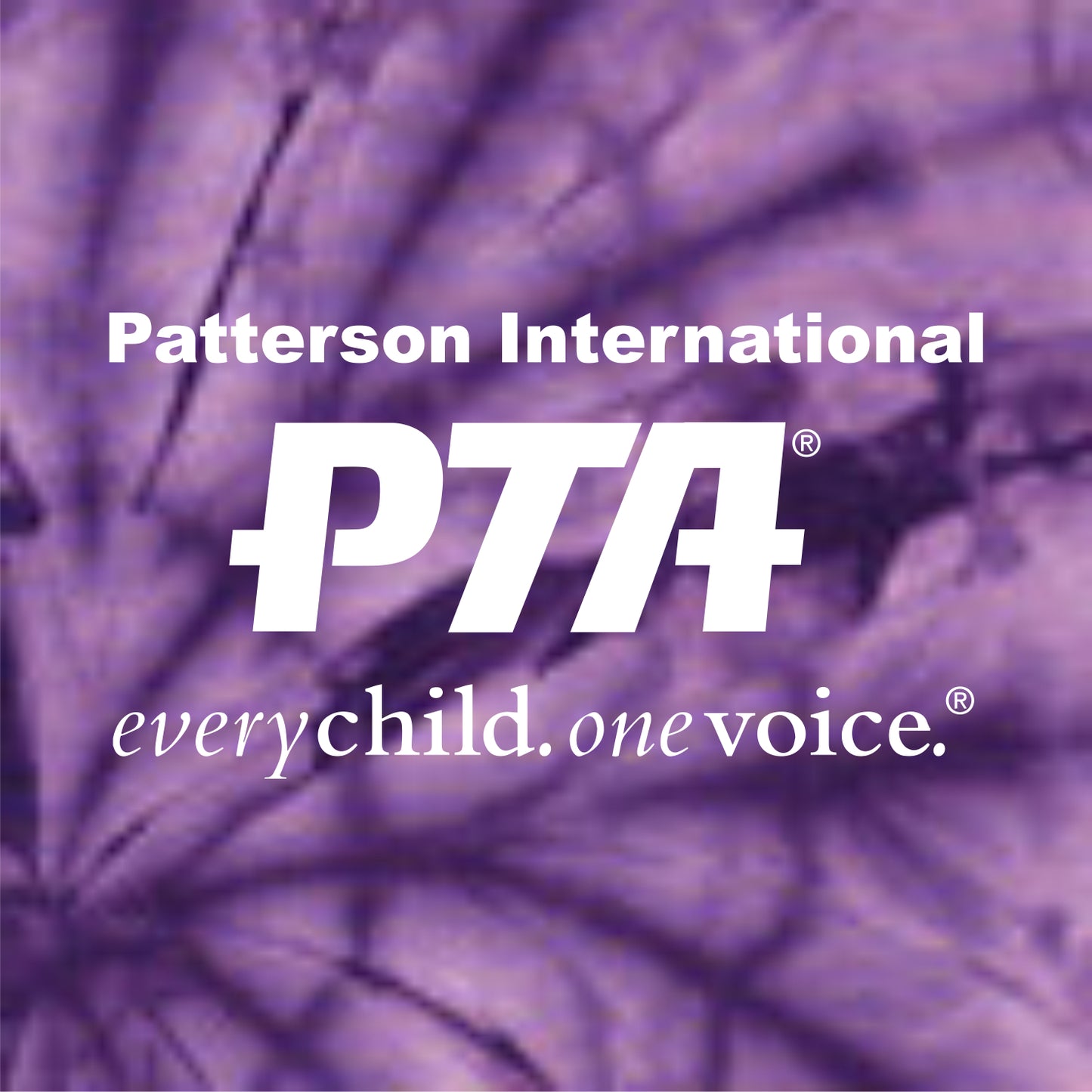 Patterson Panthers PTA Tie-Dye T-shirt - Des. B