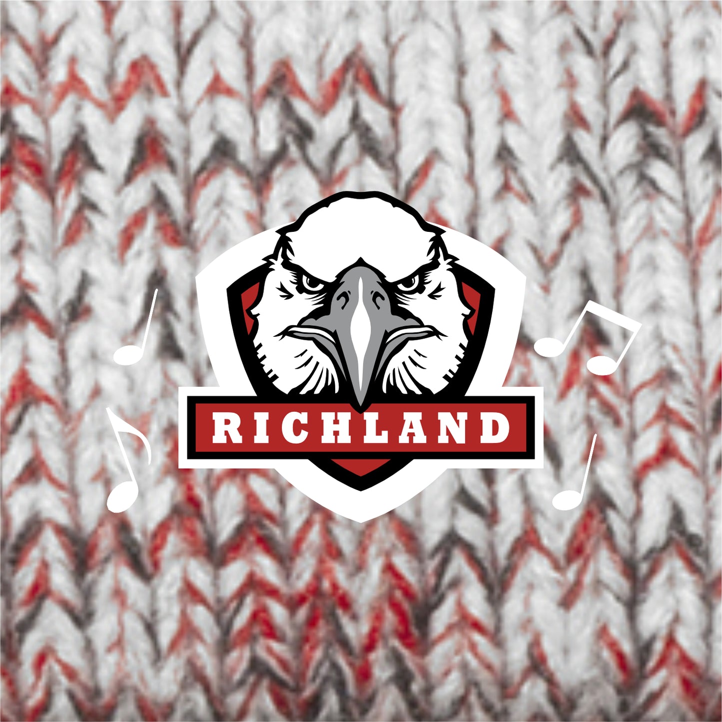 Richland Jr High Music Chunky Pom Pom Team Beanie