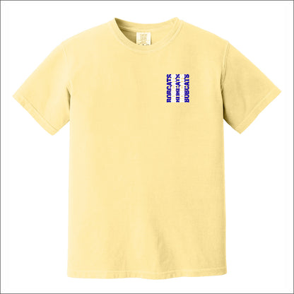 Sardis Enrichment Comfort Colors Garment Dyed T-shirt - Des. A