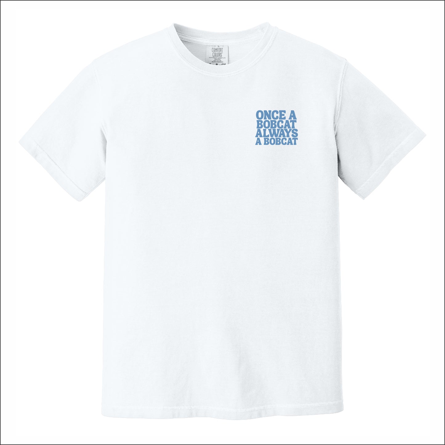 Sardis Enrichment Comfort Colors Garment Dyed T-shirt - Des. B