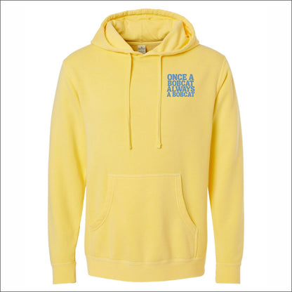 Sardis Enrichment Pigment-Dyed Hooded Sweatshirt