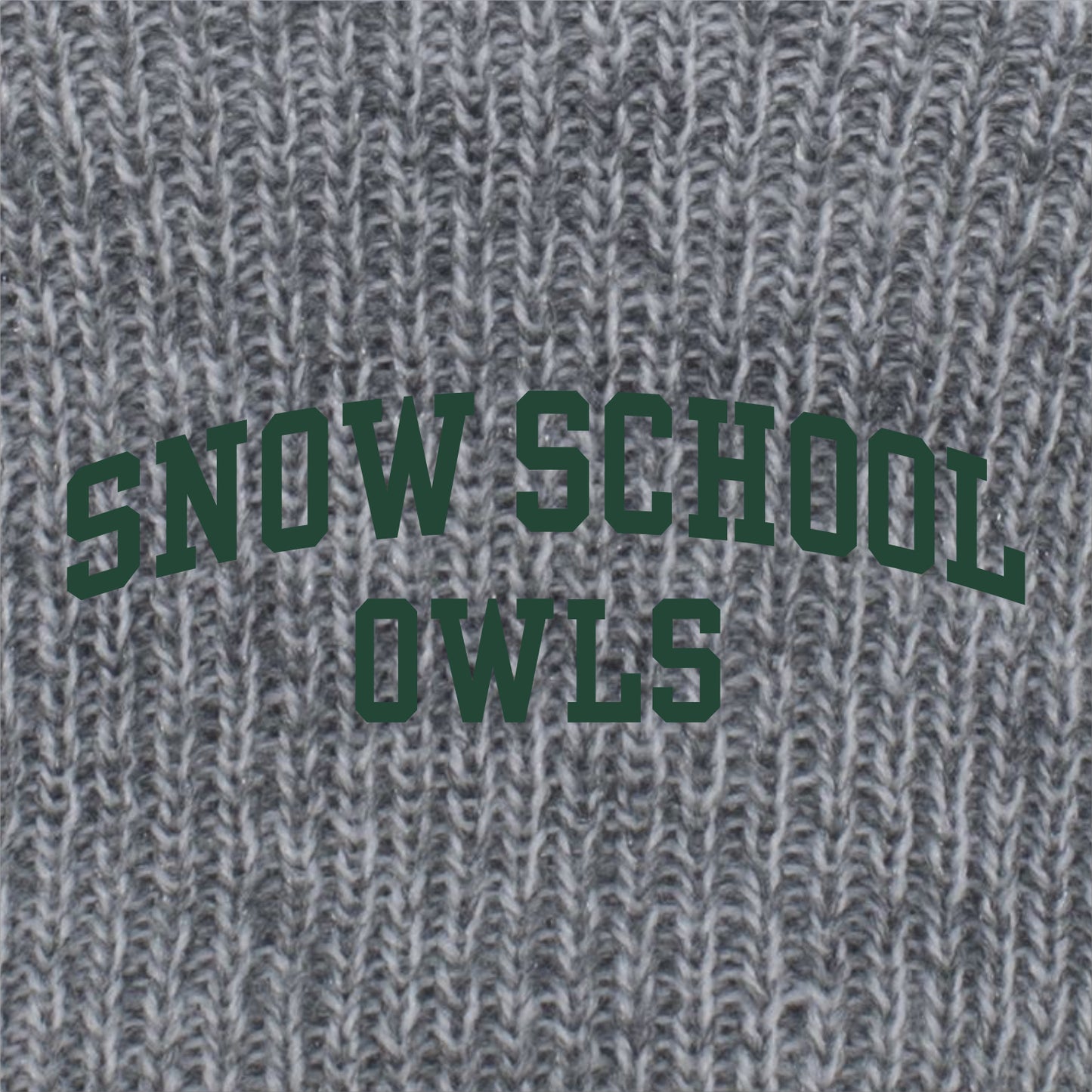 Snow Elementary Knit Fold Over Pom-Pom Beanie