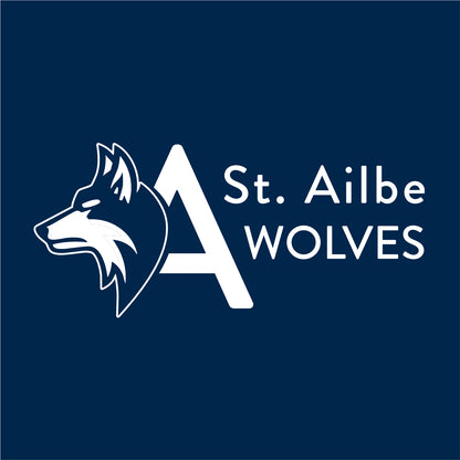 St. Ailbe School Toddler Pullover Fleece Hoodie
