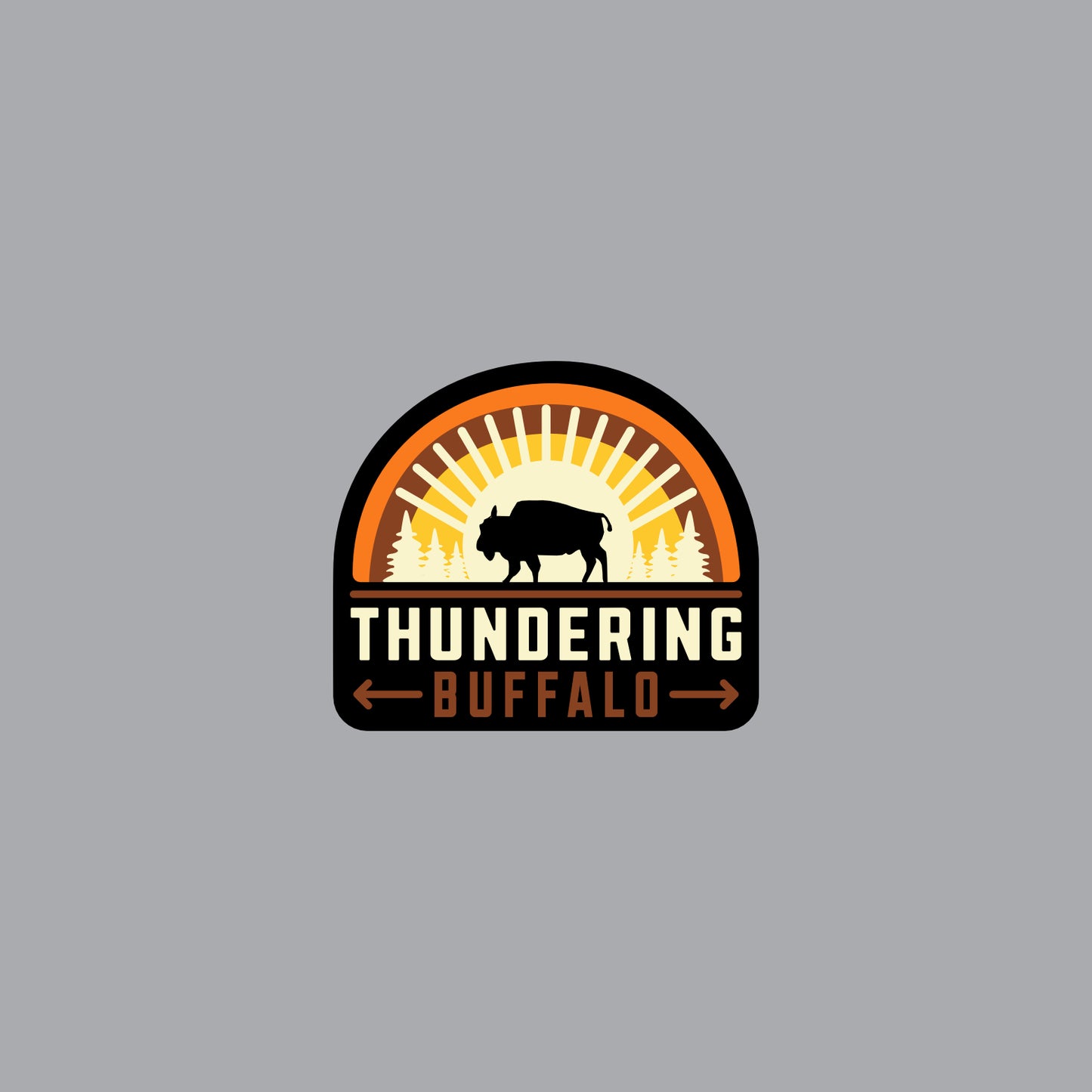 Thundering Buffaloes Knit Cuffed Beanie