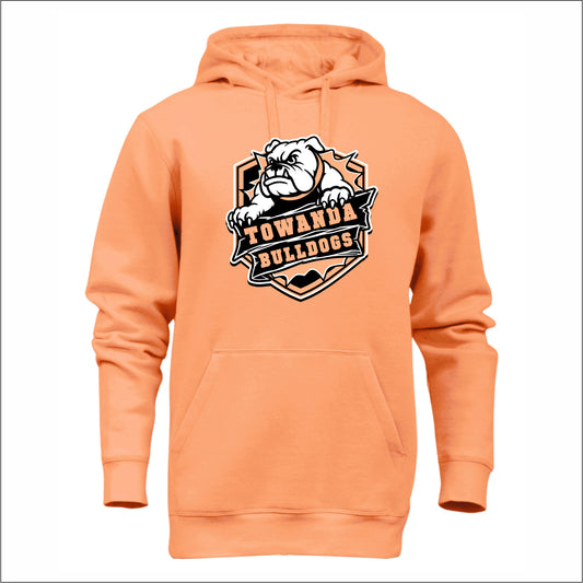 Towanda Elementary Heavyweight Hooded Sweatshirt - Des. A
