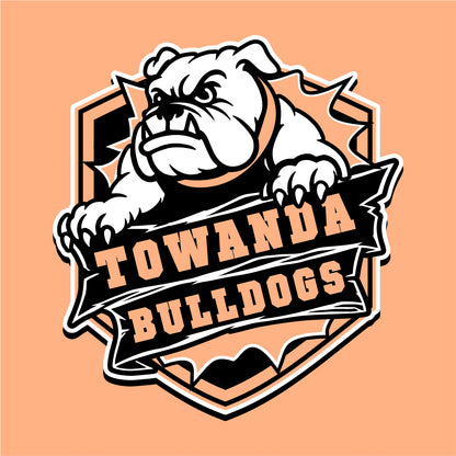 Towanda Elementary Heavyweight Hooded Sweatshirt - Des. A