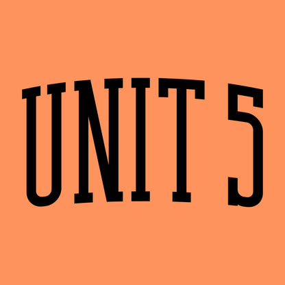 Unit 5 Schools Tri-blend T-shirt