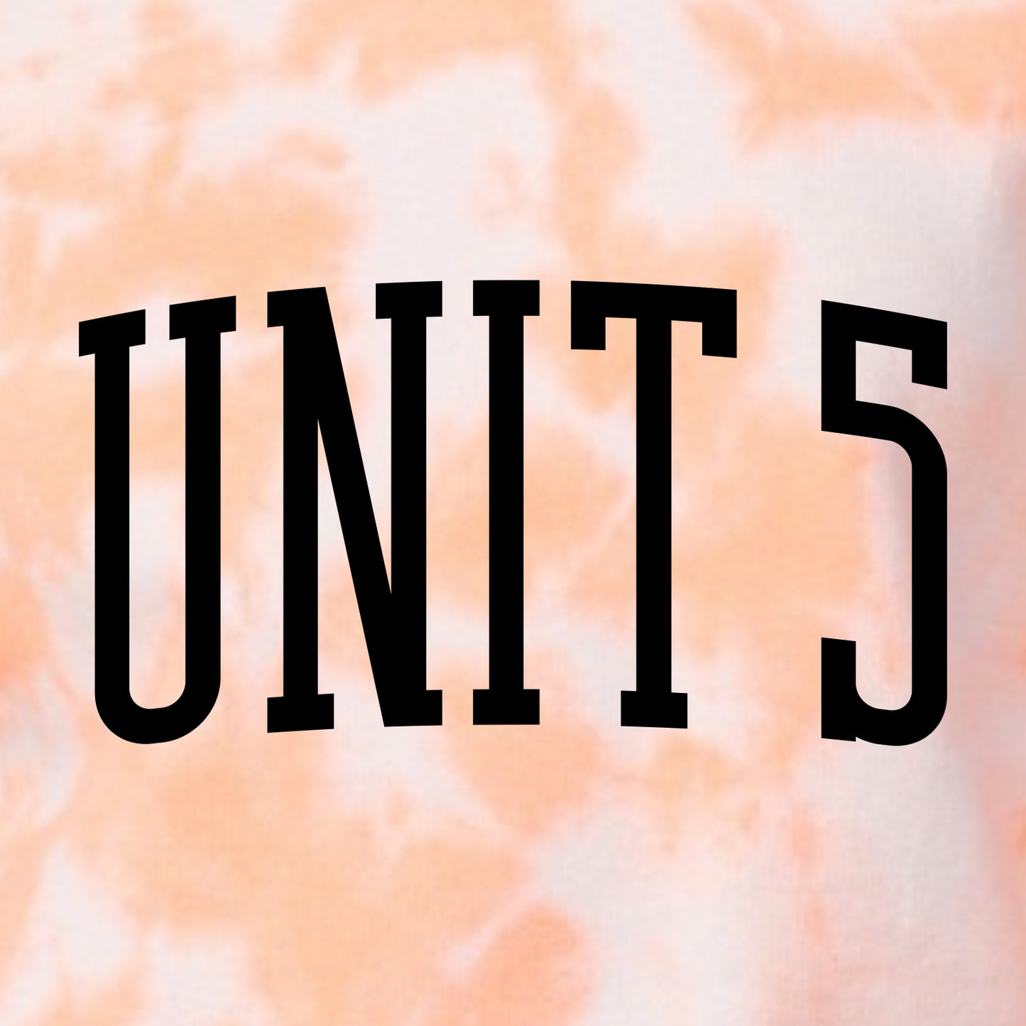 Unit 5 Schools Tie-Dye Crewneck Sweatshirt