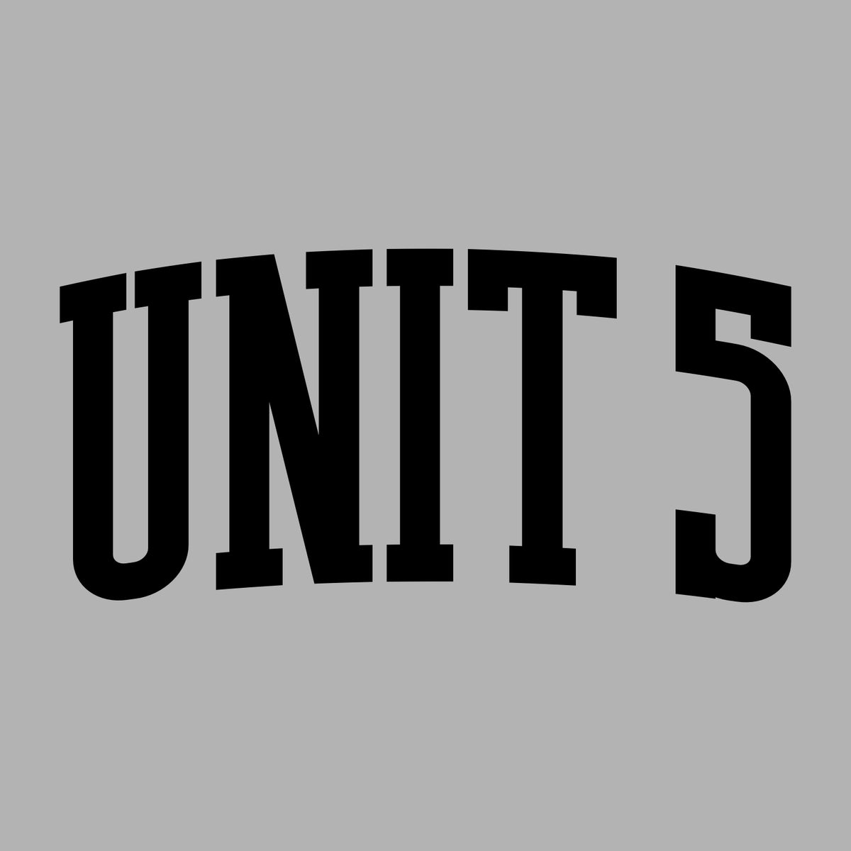 Unit 5 Schools Ladies Relaxed TrI-blend V-Neck T