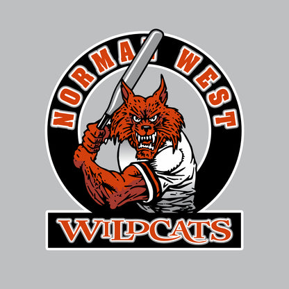 NCWHS Baseball Breakout 1/4 Zip