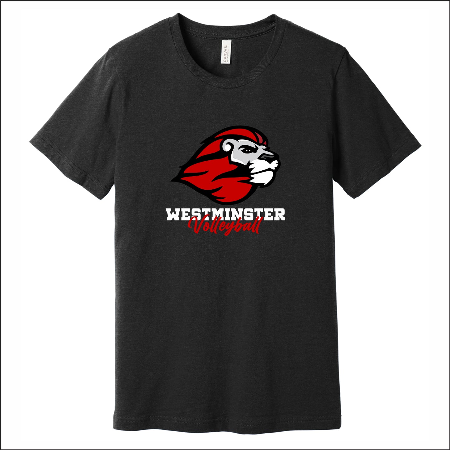Westminster Volleyball Heathered Soft Jersey Short Sleeve T-shirt
