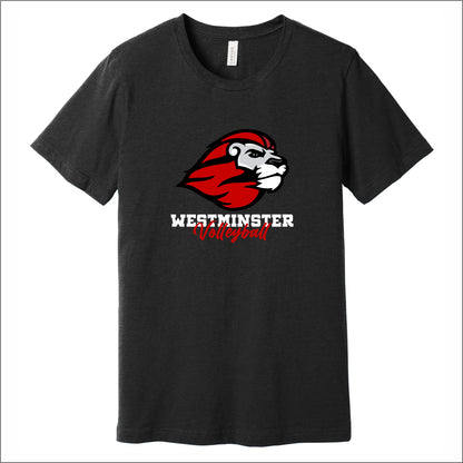 Westminster Volleyball Heathered Soft Jersey Short Sleeve T-shirt