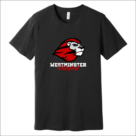 Westminster Volleyball Heathered Soft Jersey Short Sleeve T-shirt