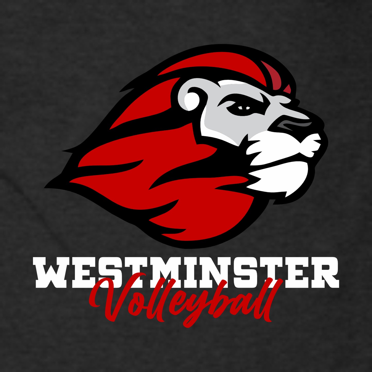 Westminster Volleyball Sponge Fleece Full-Zip Hooded Sweatshirt