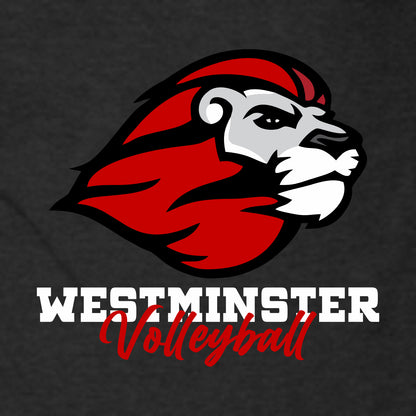 Westminster Volleyball Sponge Fleece Full-Zip Hooded Sweatshirt