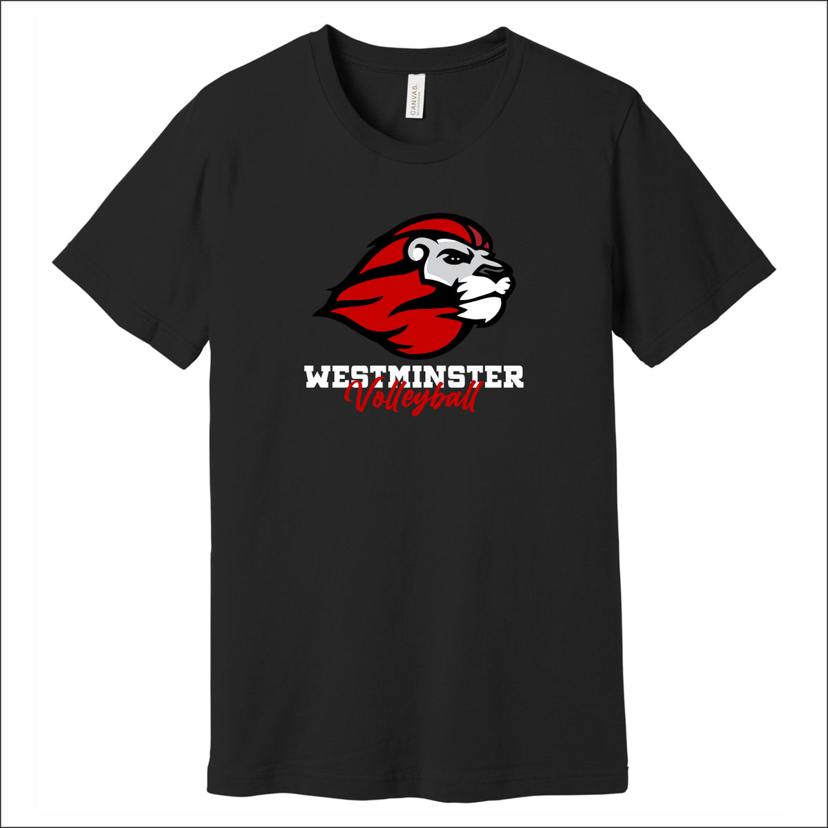 Westminster Volleyball Heathered Soft Jersey Short Sleeve T-shirt
