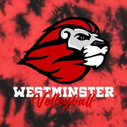 Westminster Volleyball Crystal Wash T-Shirt