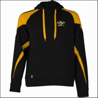 AJHS Prospect Hooded Sweatshirt