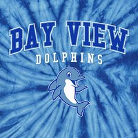 Bay View Elementary Tie Dye Shirt