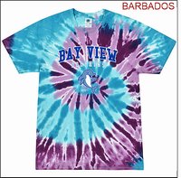 Bay View Elementary Tie Dye Shirt