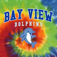 Bay View Elementary Tie Dye Shirt