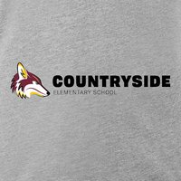 Countryside Elem AZ Ladies Vintage Football Tee