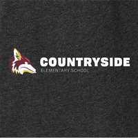 Countryside Elem AZ Ladies Vintage Football Tee