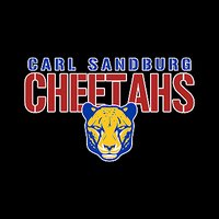 Carl Sandburg Hooded Sweatshirt- Des A