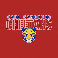 Carl Sandburg Long Sleeve T-shirt- Des A