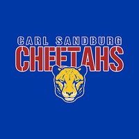 Carl Sandburg Long Sleeve T-shirt- Des A