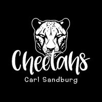 Carl Sandburg Hooded Sweatshirt- Des B