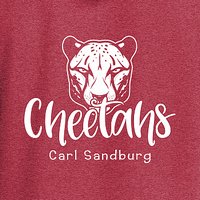 Carl Sandburg Hooded Sweatshirt- Des B