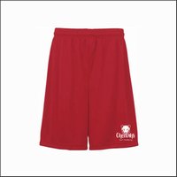 Carl Sandburg Performance Shorts