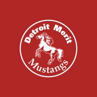 Detroit Merit Charter Tri-Color Cinch Pack