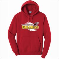 Discovery Charter School Hooded Sweatshirt