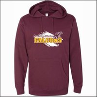 Discovery Charter School Midweight Hooded Sweatshirt