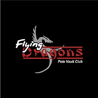 Flying Dragons Colorblock Polo