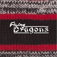 Flying Dragons New Era Sideline Beanie