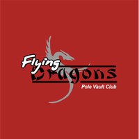 Flying Dragons Fleece Blanket