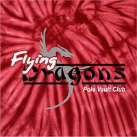 Flying Dragons Tie Dye Shirt